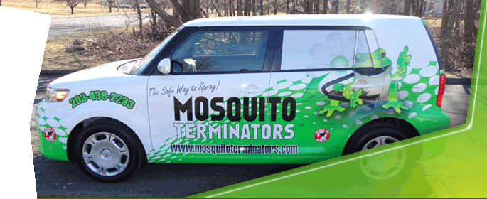 Vehicle-Graphics_Banner-Template Vehicle-Graphics_Banner-Template